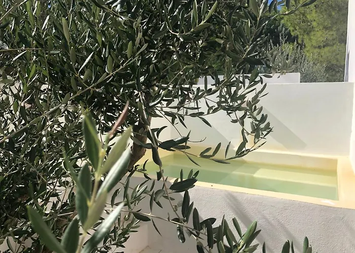 Meditur Village Tatil parkı 4*